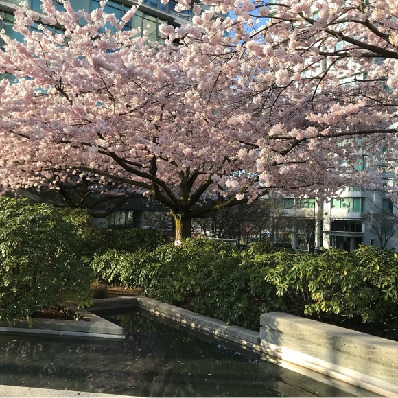 Ruth @ ModeBay 🇨🇦 ⭐️⭐️⭐️⭐️⭐️ - Picture 10 of 12